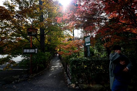 京都龍安寺/Kyoto Ryoanji