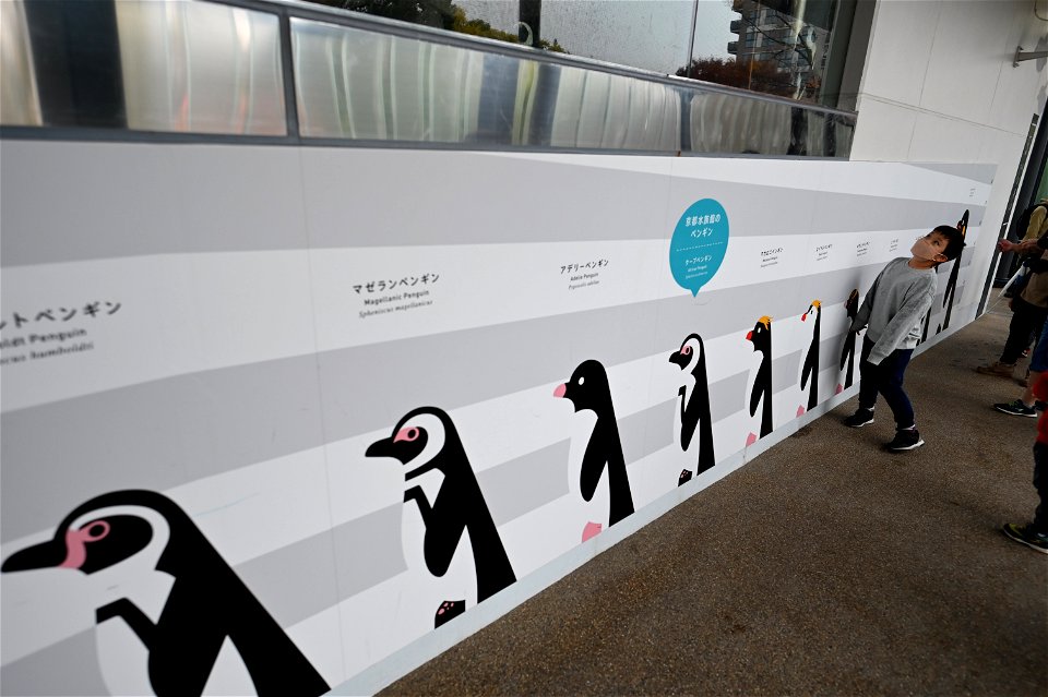 京都水族館 / Kyoto Aquarium
