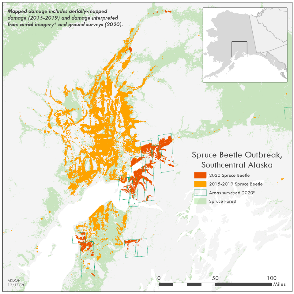 Spruce-beetle-outbreak-map-2015-2020-Alaska