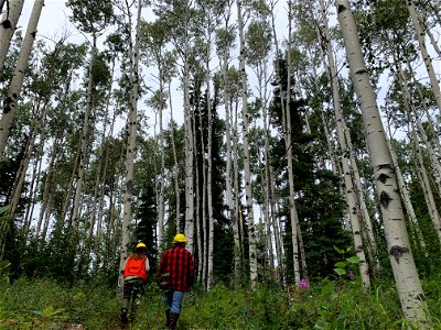 Garret-and-Sydney-trap-monitoring-2021-BonanzaCkAK-Alaska-ChadDavis
