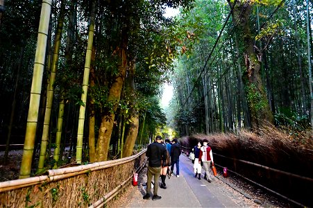 嵐山と竹林の小径 / Kyoto Arashiyama and Bamboo forest path