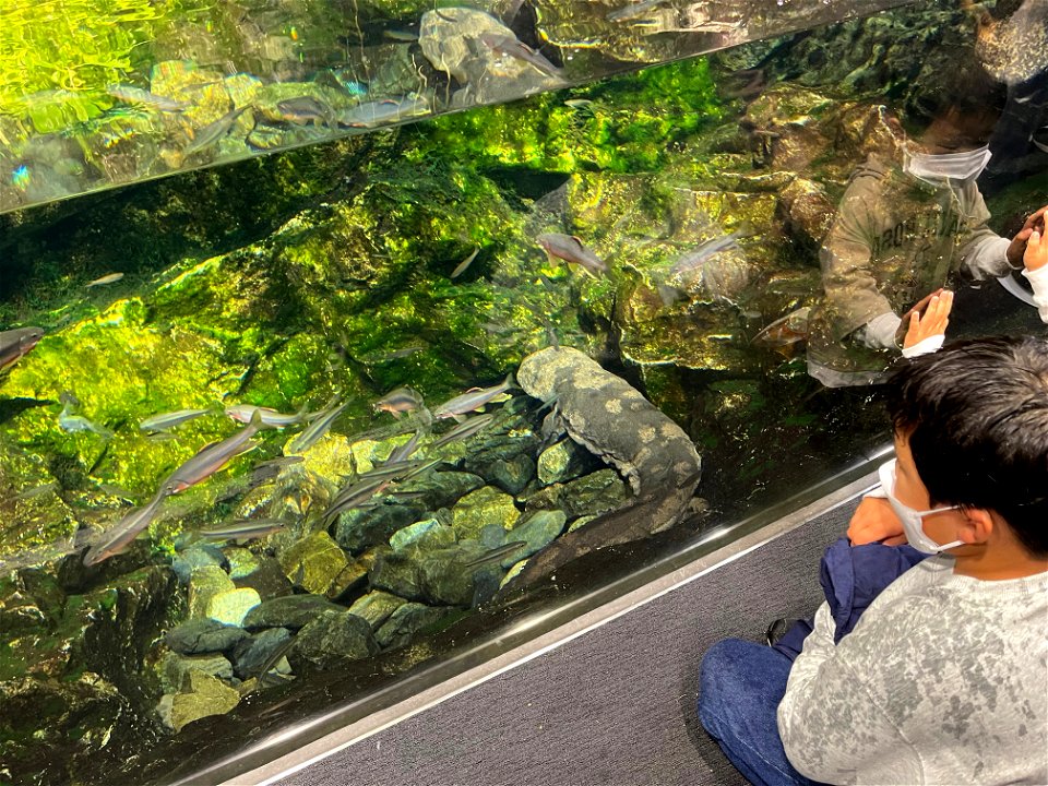 京都水族館 / Kyoto Aquarium