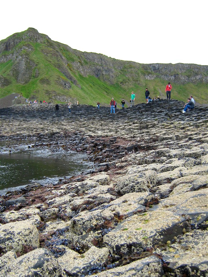 Giant's Causeway (5)