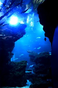 京都水族館 / Kyoto Aquarium