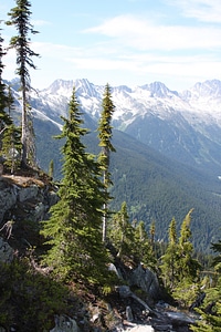 Canadian wilderness with Rocky Mountains photo