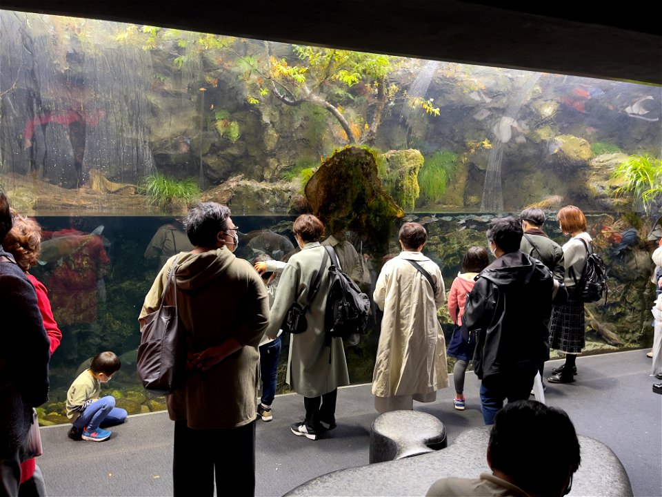 京都水族館 / Kyoto Aquarium