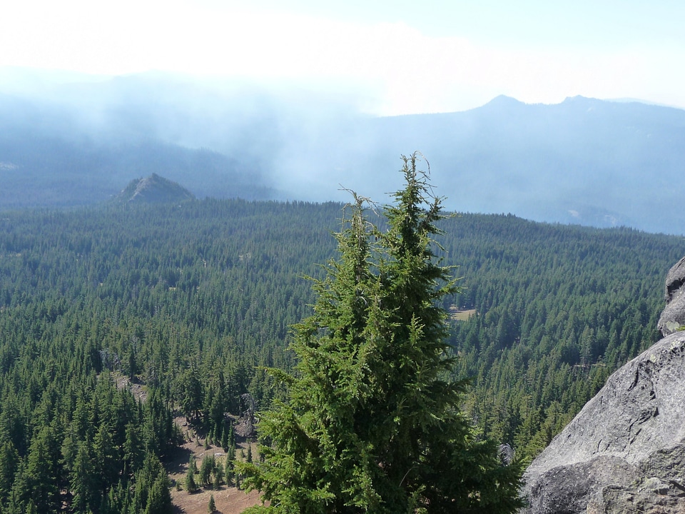 View of the Middlefork Fire
