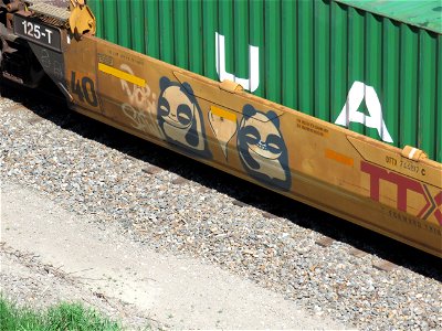 Panda Bear Railcar Art
