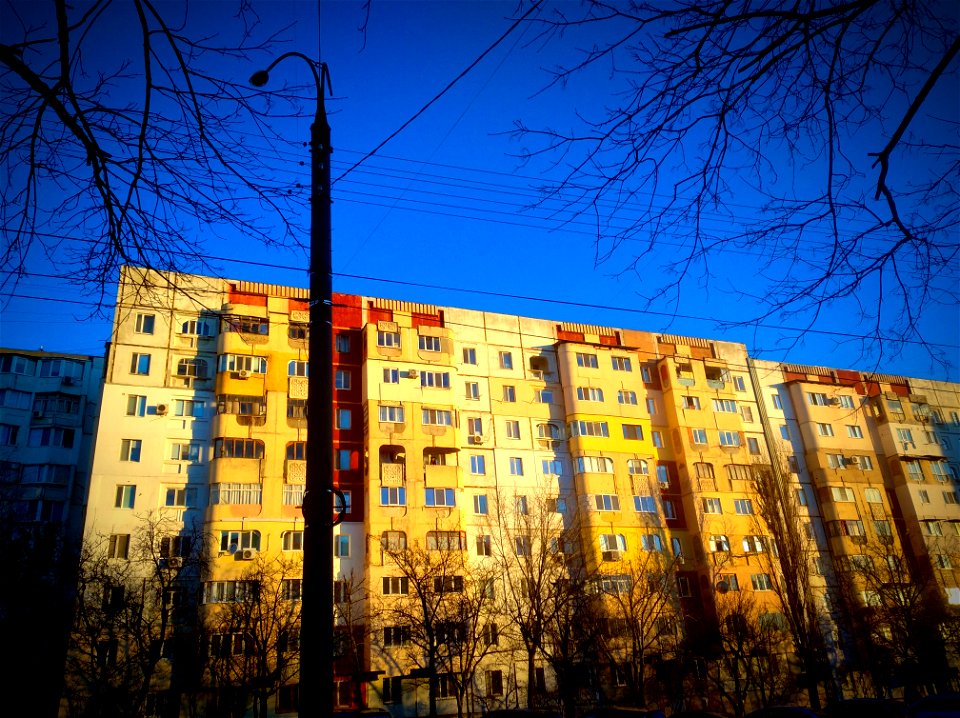 Morning Lights