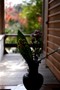 京都龍安寺/Kyoto Ryoanji