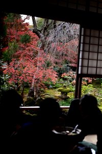 京都龍安寺/Kyoto Ryoanji