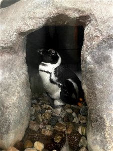 京都水族館 / Kyoto Aquarium
