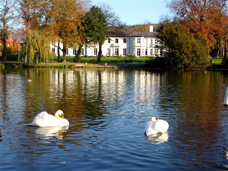 Henley 08