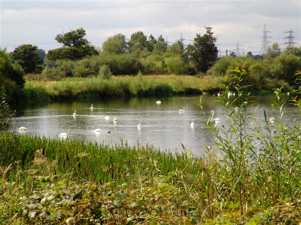 Kingsbury 009