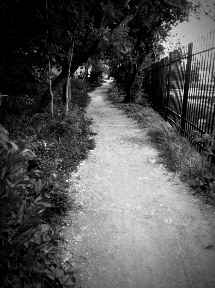 Path