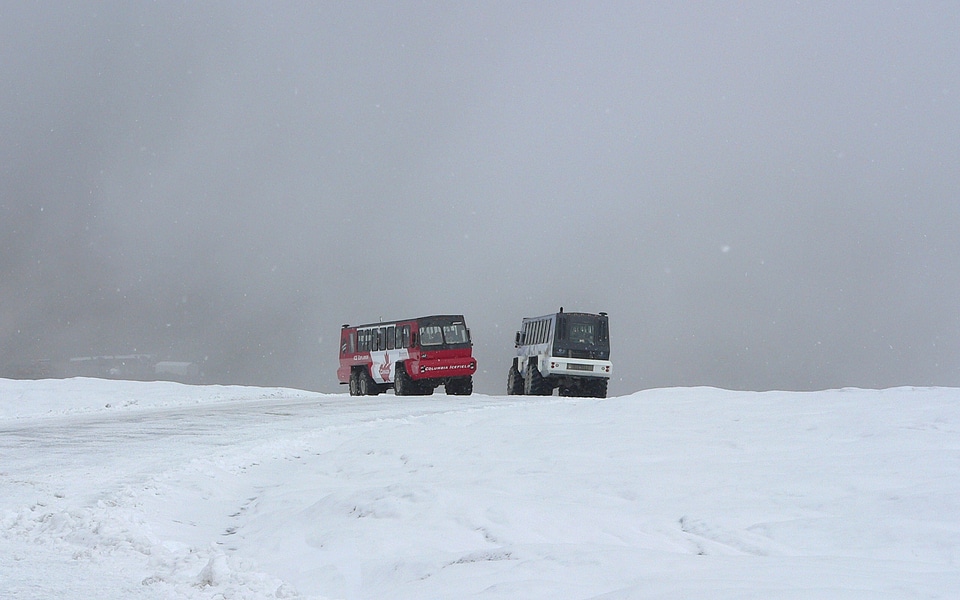 snow coaches pass on Athabasca Glacier