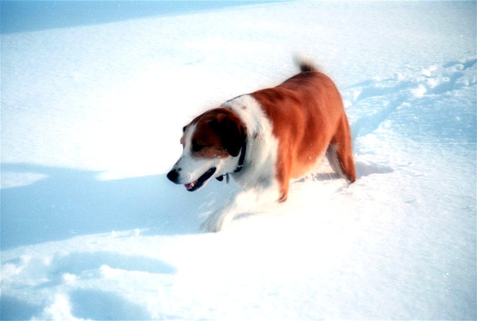 1990 12 025