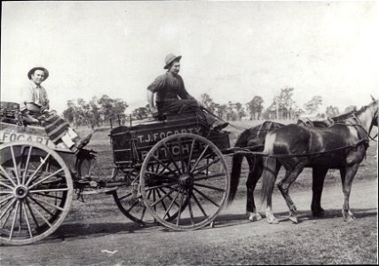 T.J. Fogarty Butchery horse and cart, [Weston, n.d.] photo