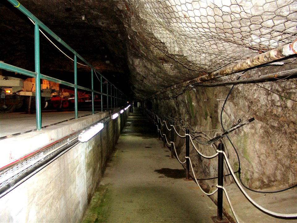 DSC05696