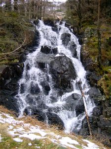 DSC100001
