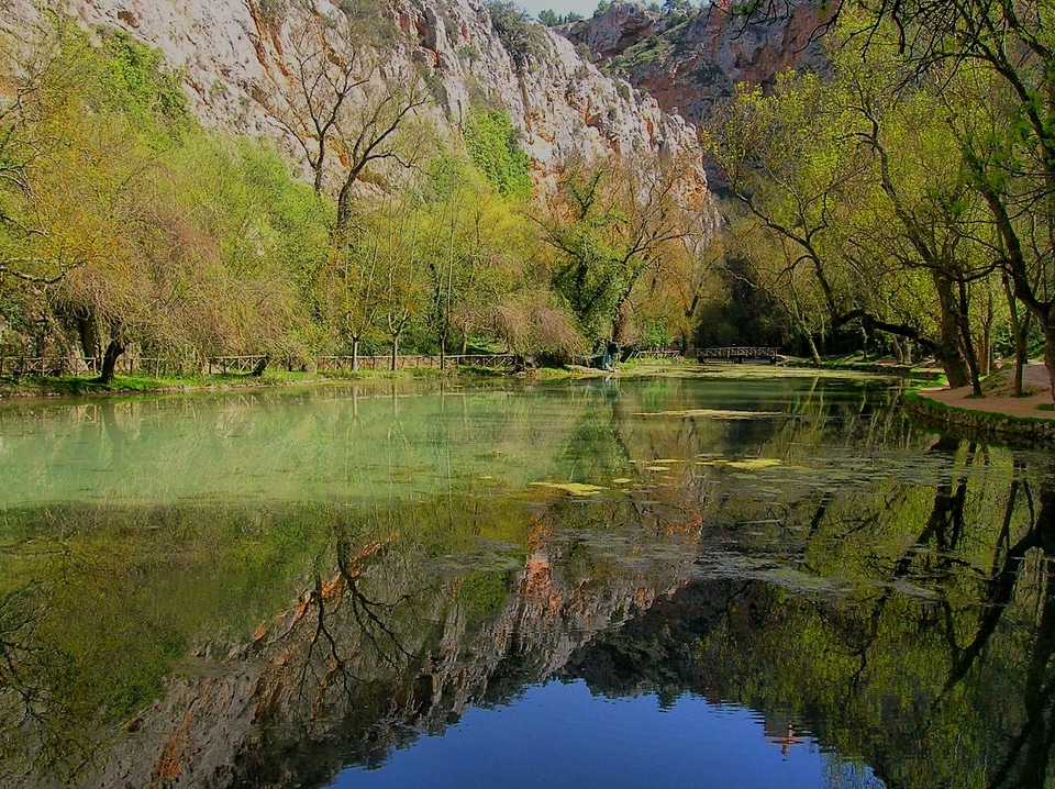 blue sky, tree reflected in lake photo