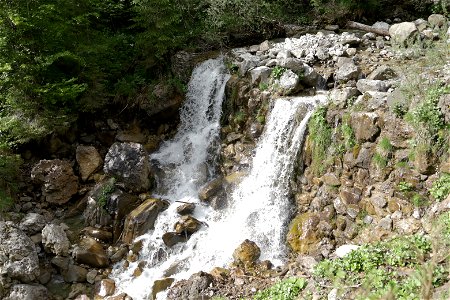IMG_7106