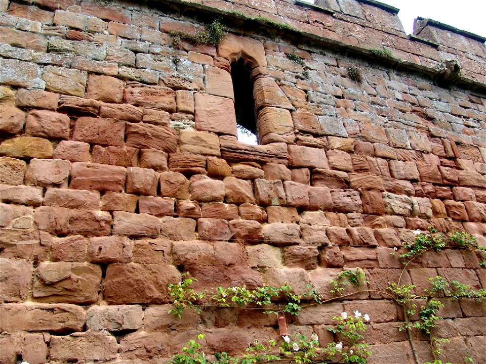 DSC05840