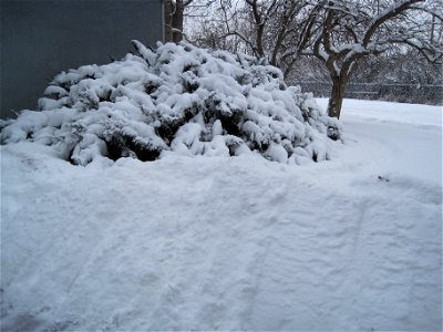 Merry Christmas from a knackered old guy who shovelled way to much snow this day!