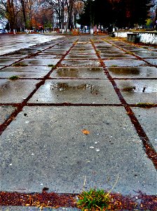 Autumn after rain