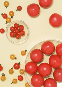 fresh red delicious tomatoes in plate
