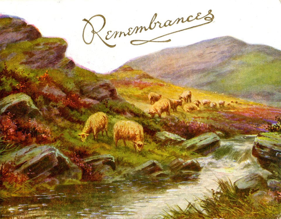 "Remembrance" - Christmas card