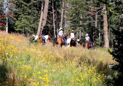 Horseback Riding on Sandia Ranger District
