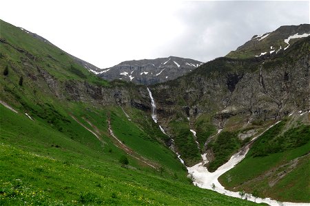 IMG_6921