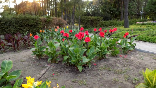 Hryshko National Botanical Garden