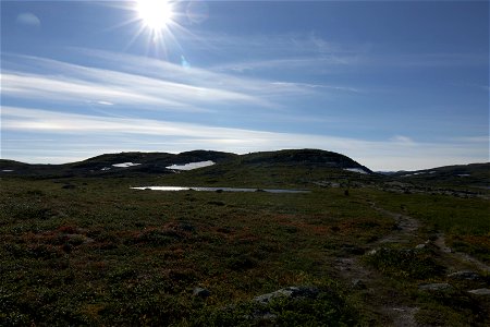 IMG_8177