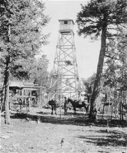 Historic Photos - Cibola NF & NGs