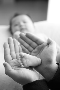 newborn baby feet on female hands photo