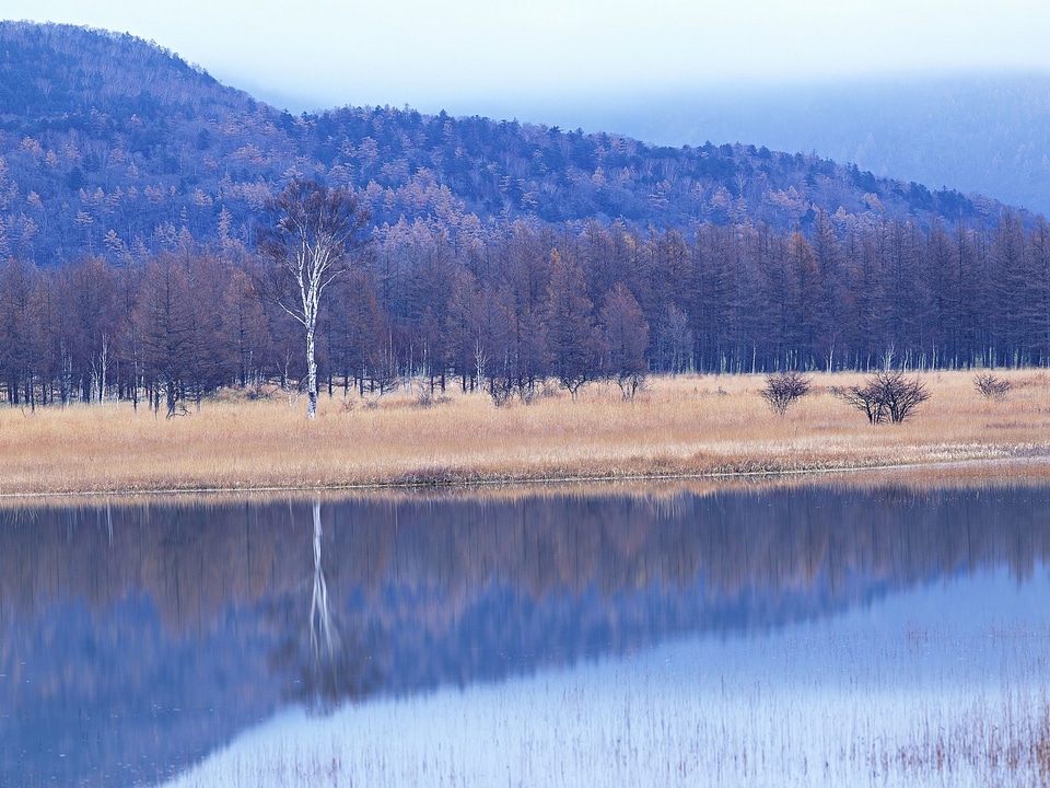 Sunny Day, Landscape With Mountain, Pure Water Lake
