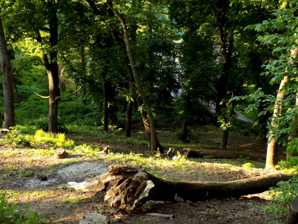Hryshko National Botanical Garden