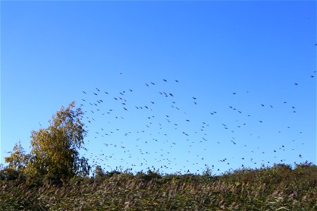 Flight photo