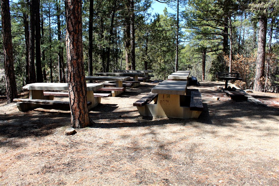 Sandia Ranger District – Pine Flat Picnic Area