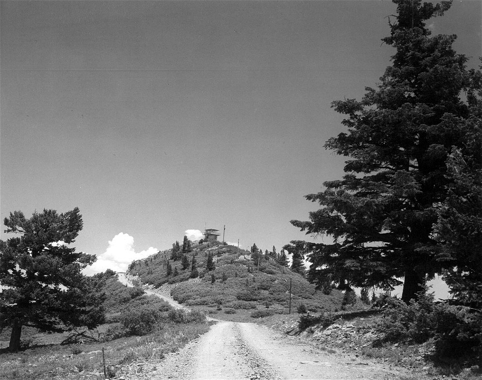 Historic Photo Cibola NF & NGs