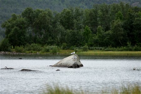 IMG_8104