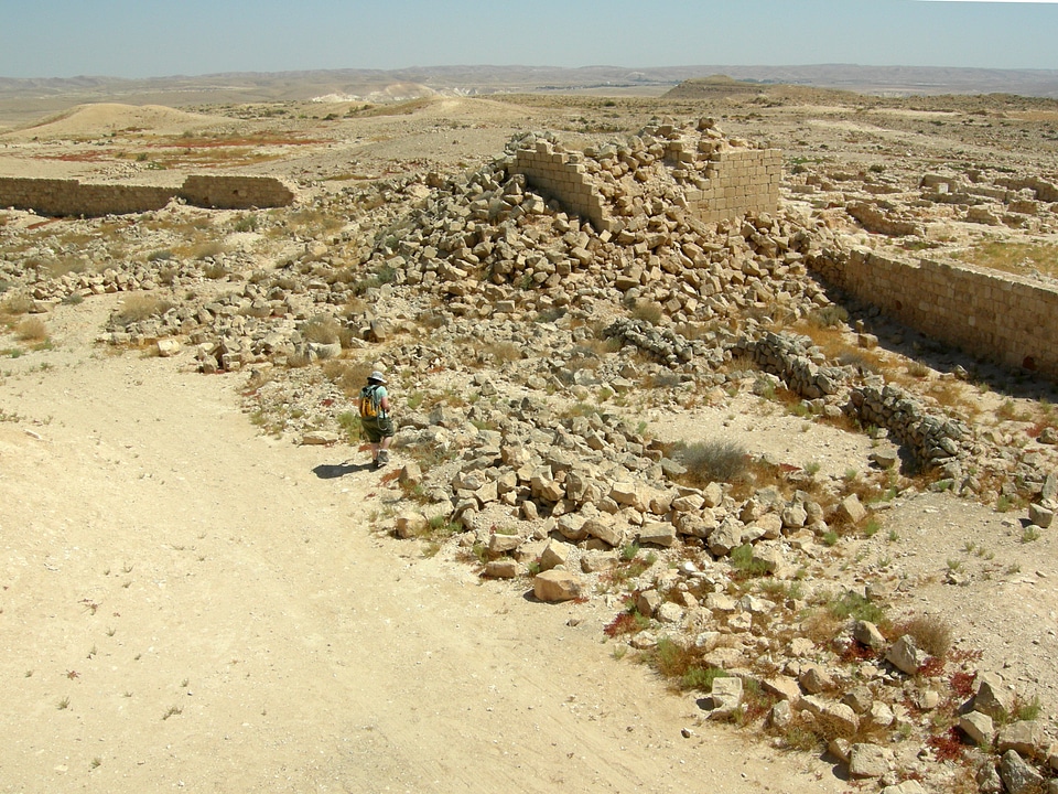 Fragment of the Avdat National Park in Israel