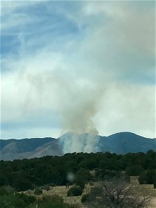 Thunderbird Prescribed Burn
