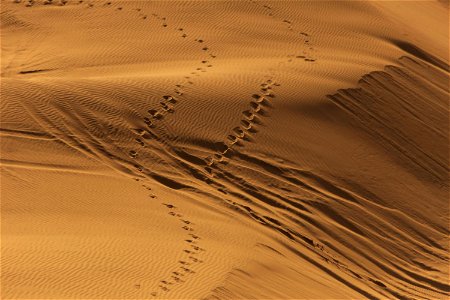 پارک ملی کویر در ایران