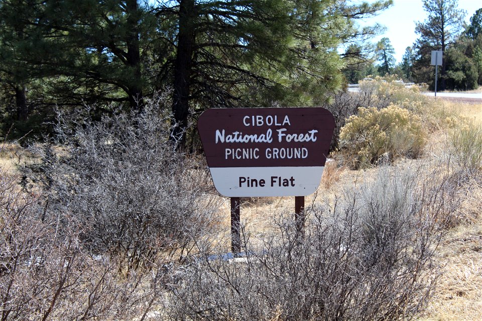 Sandia Ranger District – Pine Flat Picnic Area