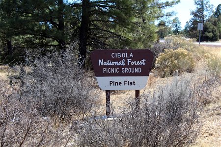 Sandia Ranger District – Pine Flat Picnic Area