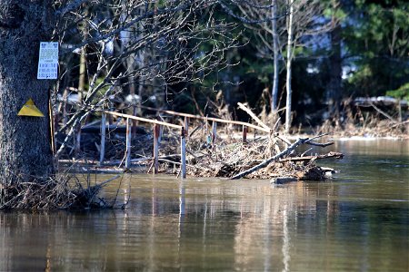 Flooded bridge