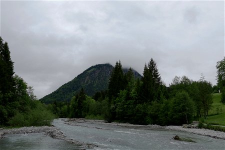 IMG_7055